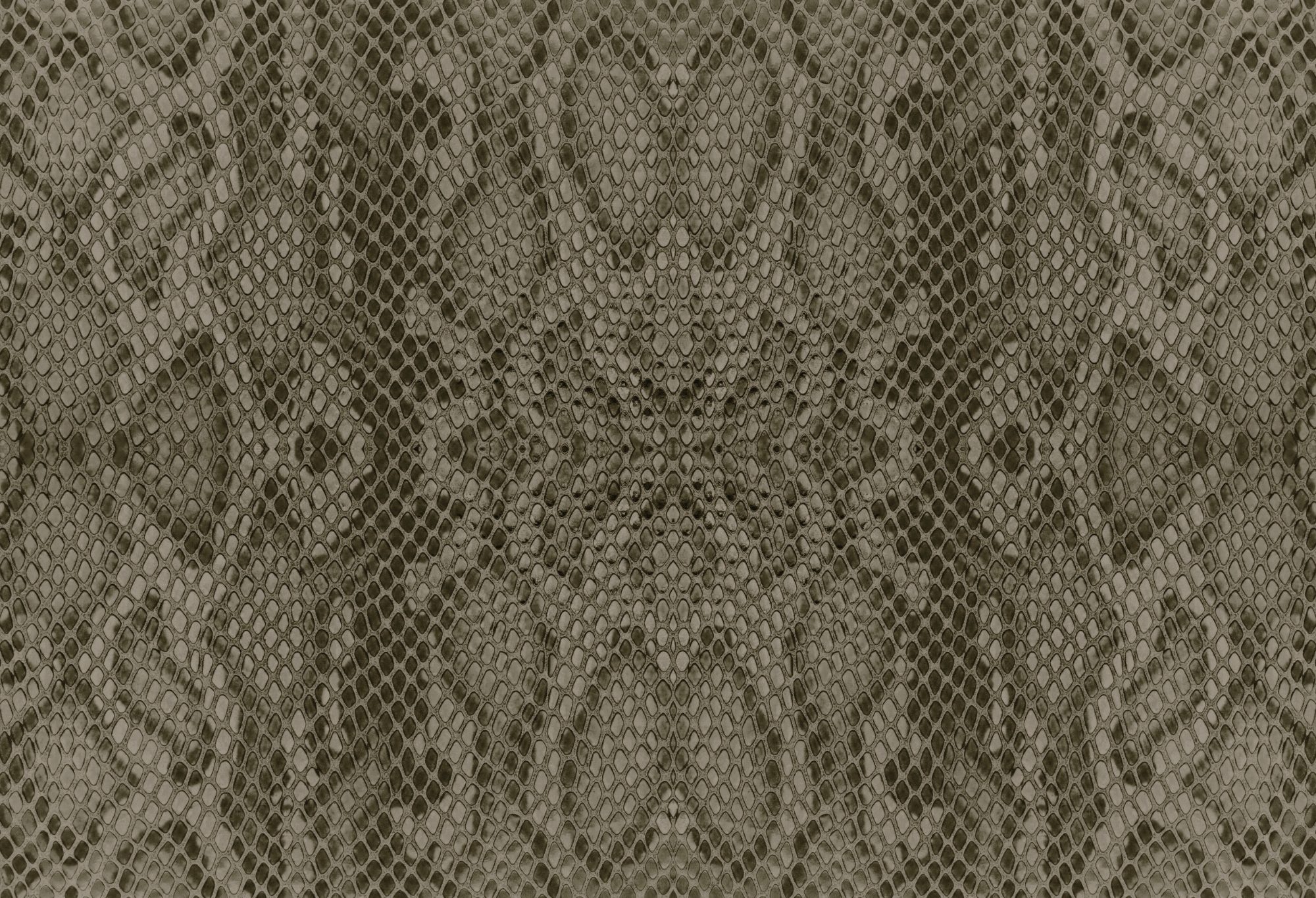 5289-RR-D-V2