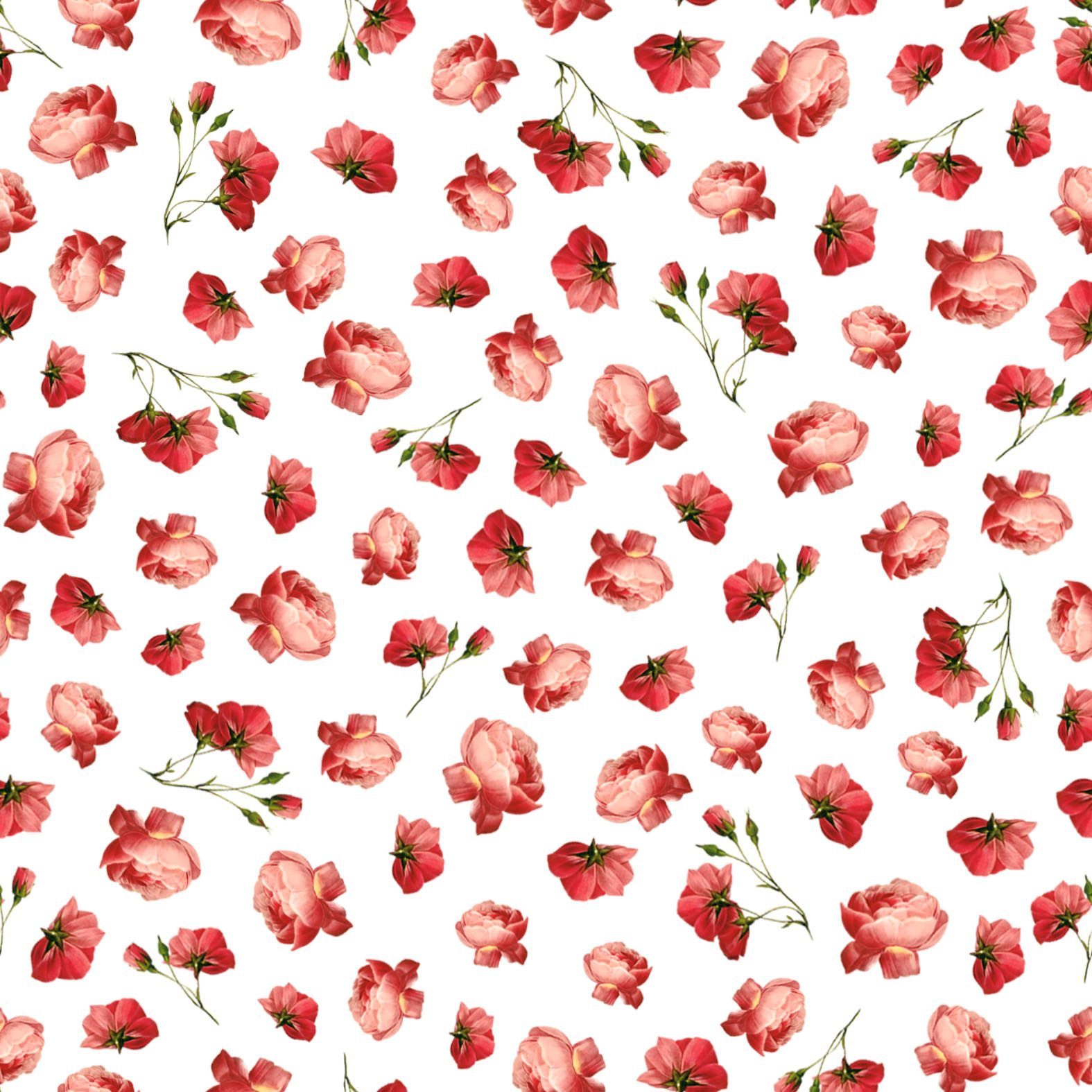 ROSAS CAMPESTRES-V1